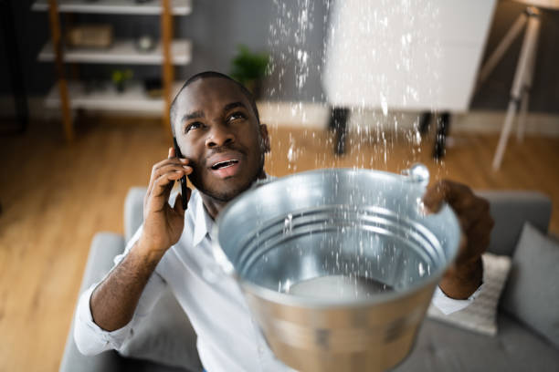 Labelle, FL Water damage restoration Pros