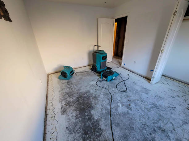 Best Water damage restoration services  in Labelle, FL