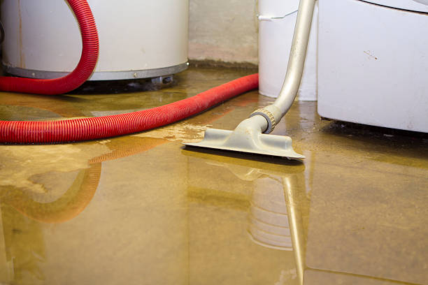 Best Water damage restoration near me  in Labelle, FL